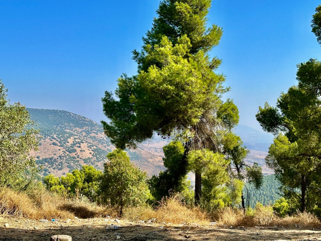 הברייתא דרבי ישמעאל- י״ג מידות שהתורה נדרשת בהן, כסולם עבודה פנימית&nbsp;יומיומית